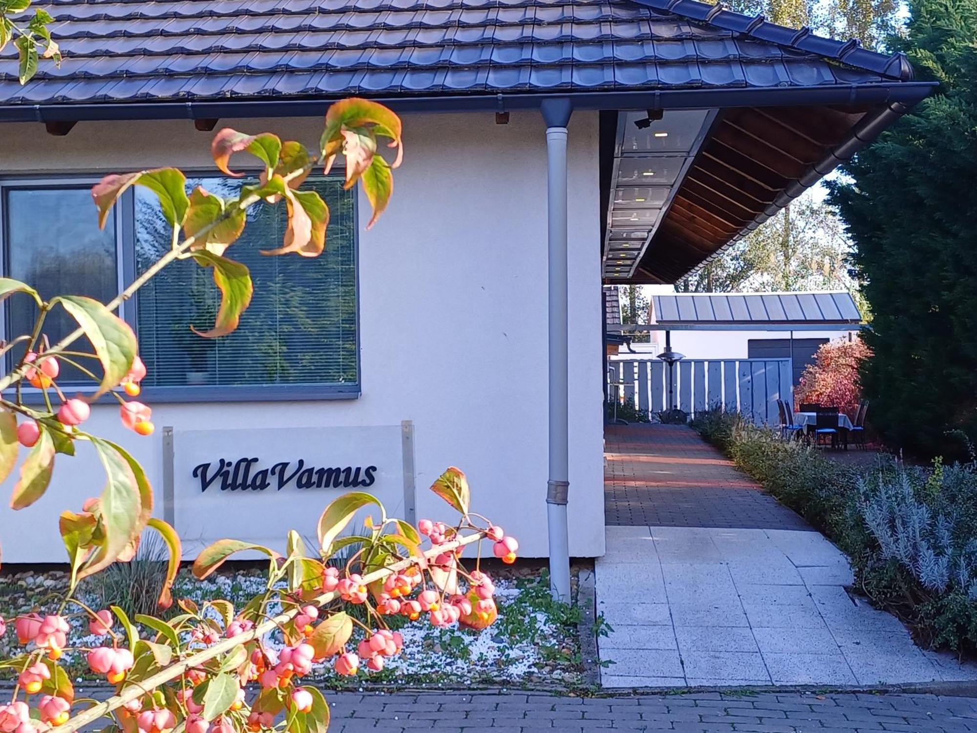 Villa Vamus Vendeg- Es Rendezvenyhaz Vamosszabadi Exterior photo